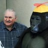 Magic Gorilla